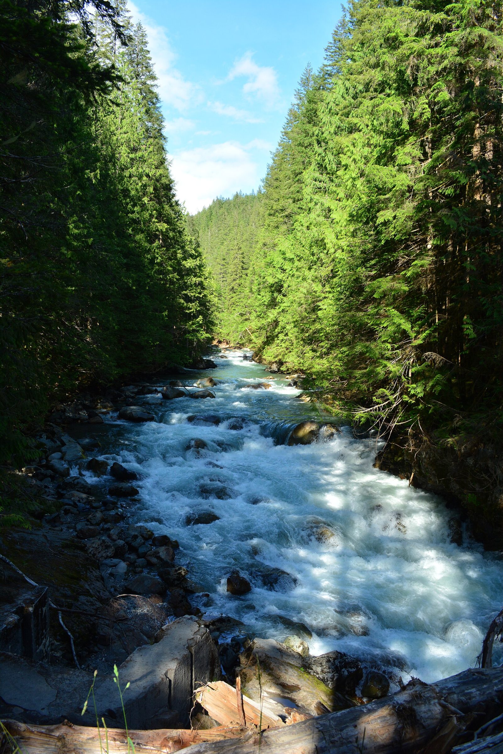 Snow on the North Fork Nooksack valley along the Mt. Baker Highway