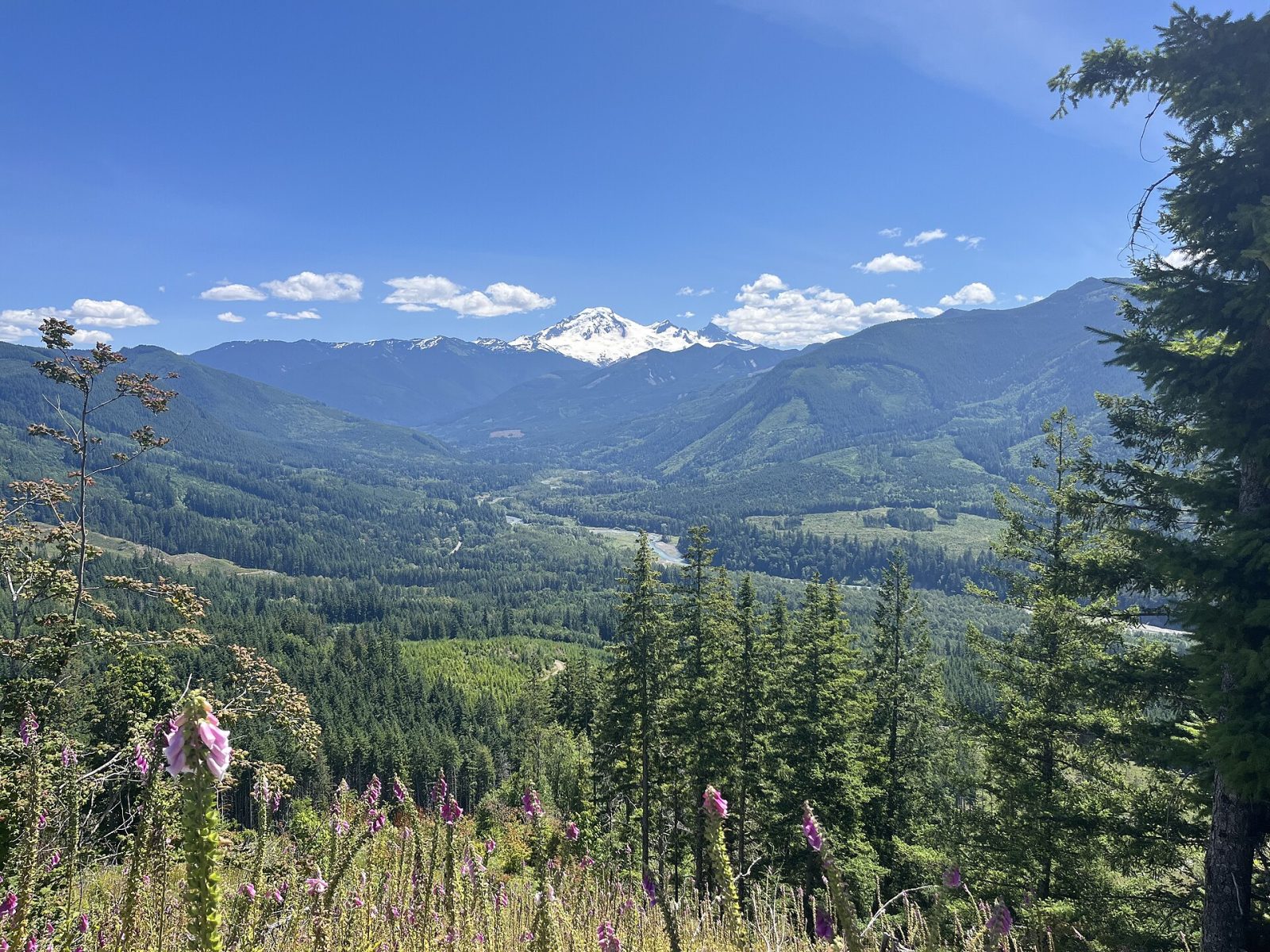 Mt. Baker seen from Maple Falls