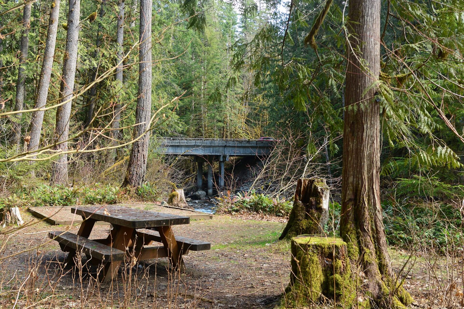 The North Fork Nooksack River near Deming