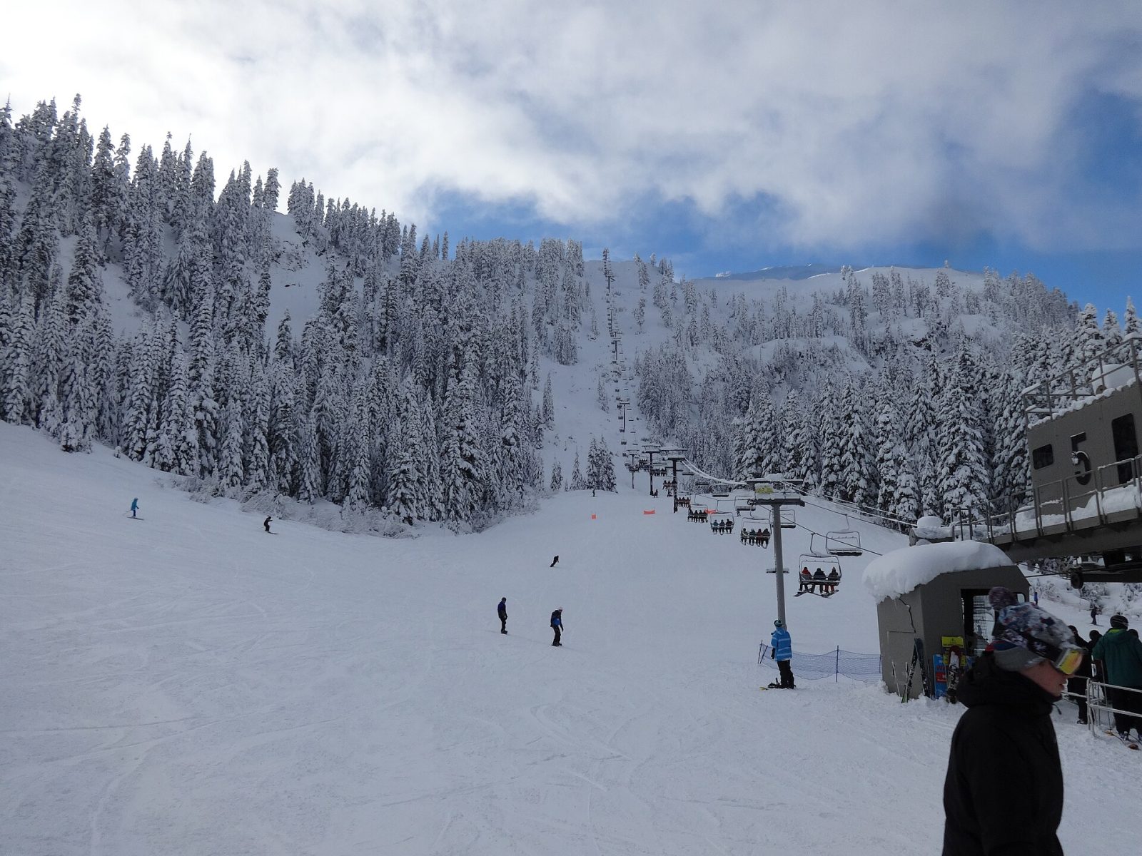 A chairlift at Mt. Baker Ski Area with snow-covered runs